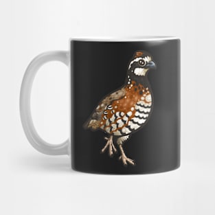 Northern Bobwhite Mug